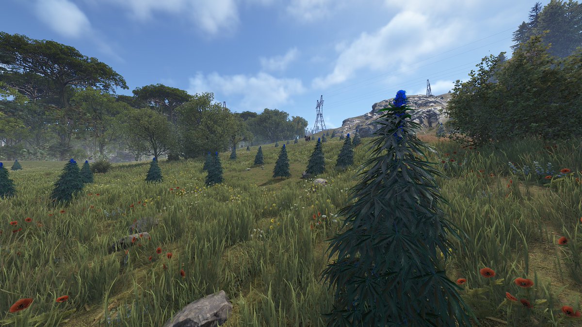 Protox0's tweet photo. Hemp color can be changed in options, already on staging. Thoughts? Way easier to spot. New colors include default green, yellowish, blueish, redish. #Rust https://t.co/GYOBDWmNMK