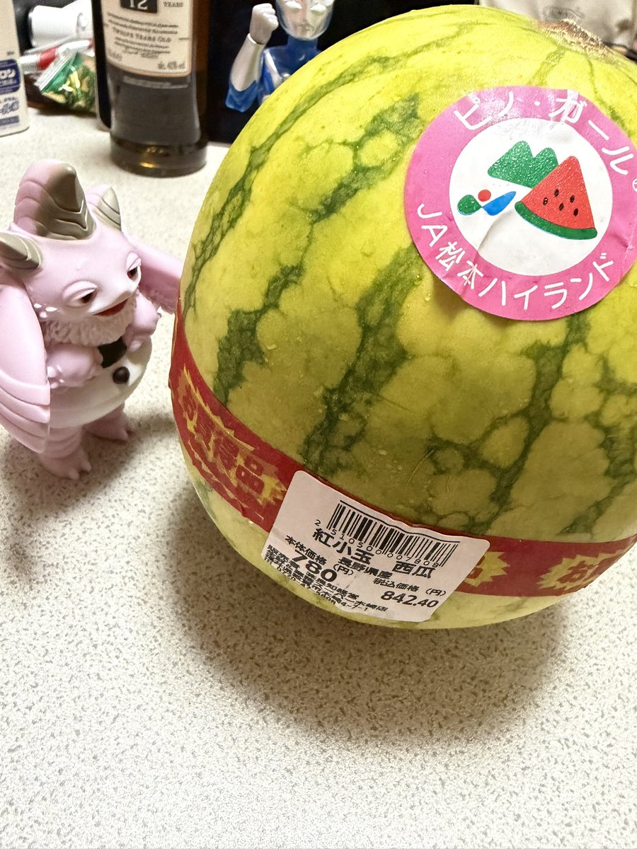 jujie888's tweet photo. まさか１０月も中旬と言うのにスイカが買えるとはね🍉
きっとハウスもんやろけど、夏に買うより安いし😅
プッチーもびっくり🤭 https://t.co/WiWgbUeas5