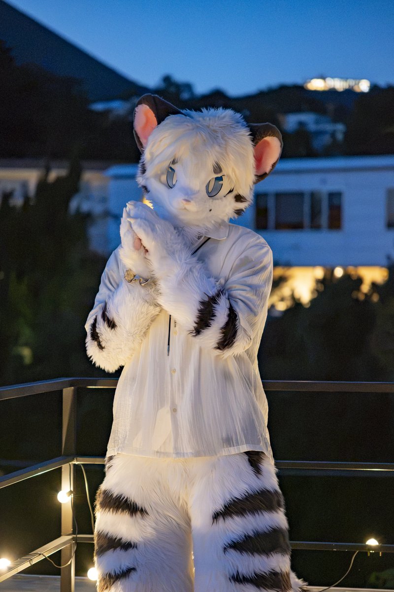 YORU_whitetiger's tweet photo. 夜のはじまり https://t.co/PrOlwnLPIW
