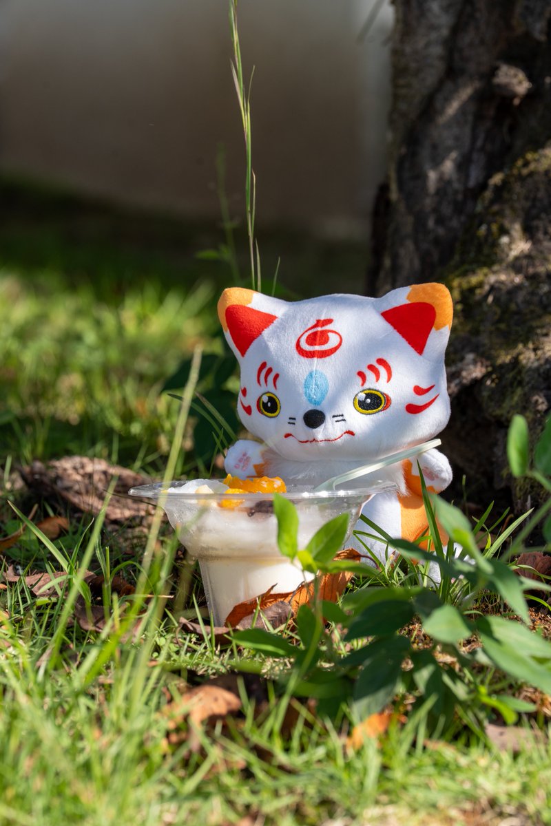 edamame_mochi3's tweet photo. 高画質なもぐもぐこんちゃんをTLにお届け🦊🍧 https://t.co/CrcnP1n3OM
