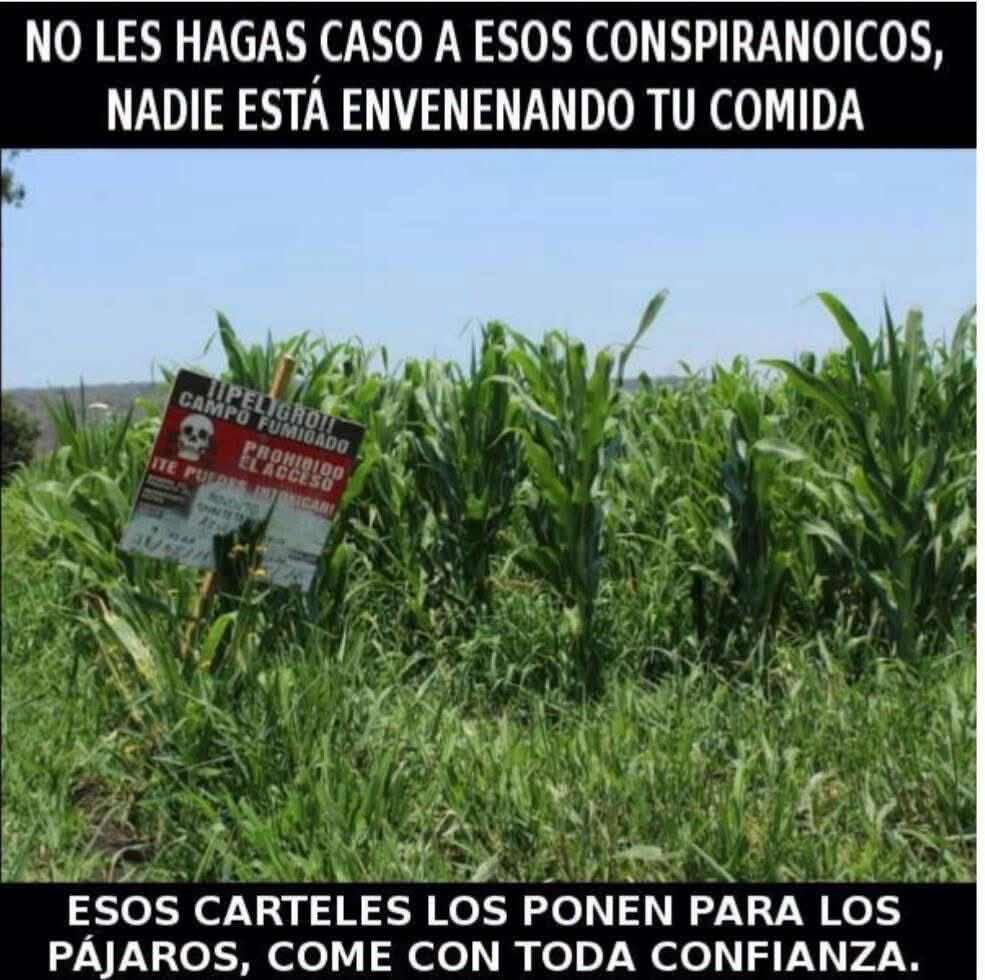 76Anabellan's tweet photo. Buen Miércoles 🙋‍♀️🩵🩵💪 https://t.co/ao7hM2qWhw