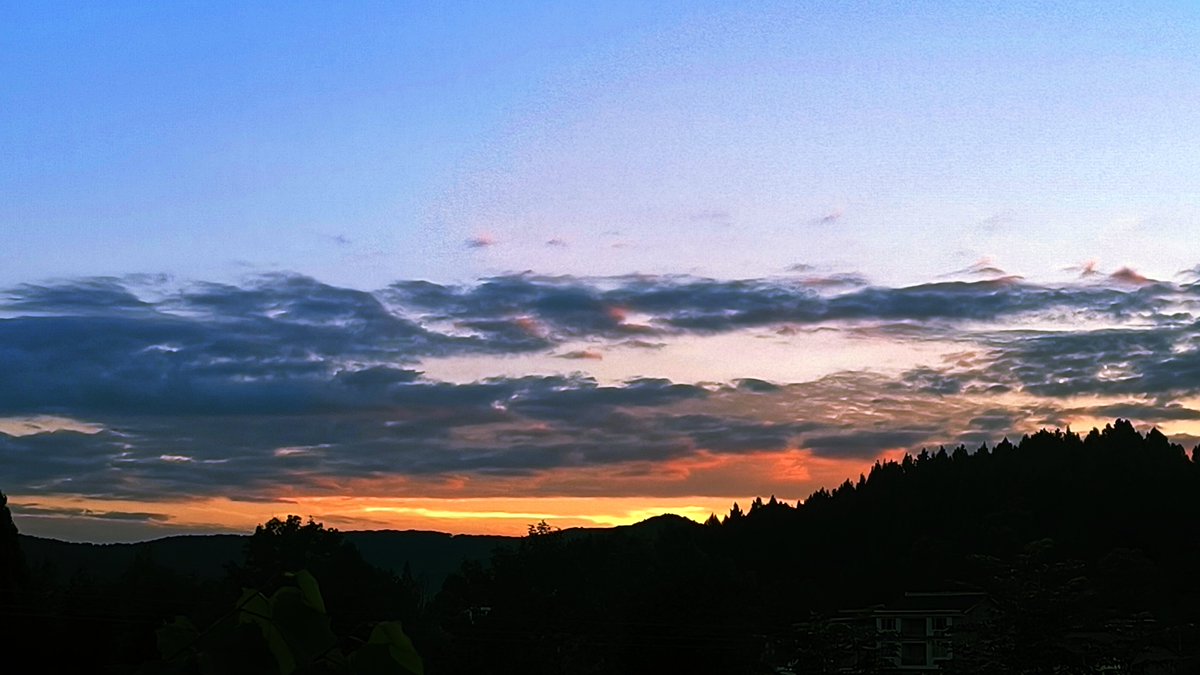 ShadowIis's tweet photo. I just want to tell you

Good night！ https://t.co/jS9RQ7Gj4w