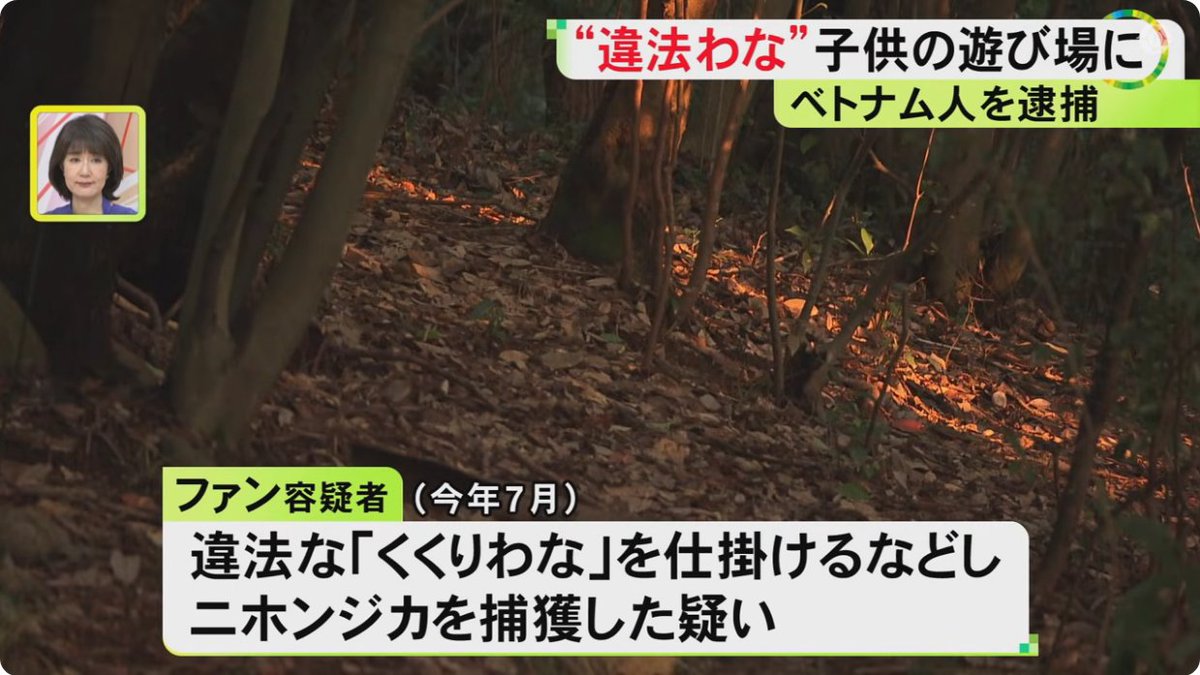 hoshusokuhou's tweet photo. 【殺人未遂だろ】子供の遊び場に人間も骨折する『違法デカ罠』を設置したベトナム人(28)を逮捕　シカの生首放置で発覚　愛知
↓
・踏むとカシャンと足首にはまり脱出不可能
・人里近い山林に設置され子供が大怪我する恐れも
・ベトナム人がシカを密猟し生首を放置
・会社でイノシシを無許可解体するも「知らなかった」と否認

まじでしゃれにならない。子供が踏めば足首が潰れる、最悪の場合は切断されるレベルの威力らしい。

本当に死人が出る前に逮捕されてよかった。
政府はいい加減に無責任な受け入れはやめてくれ。