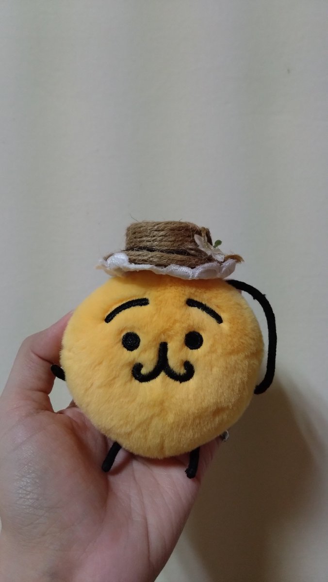 H_annuus's tweet photo. うちの子🟡 https://t.co/So9t5gHEpd