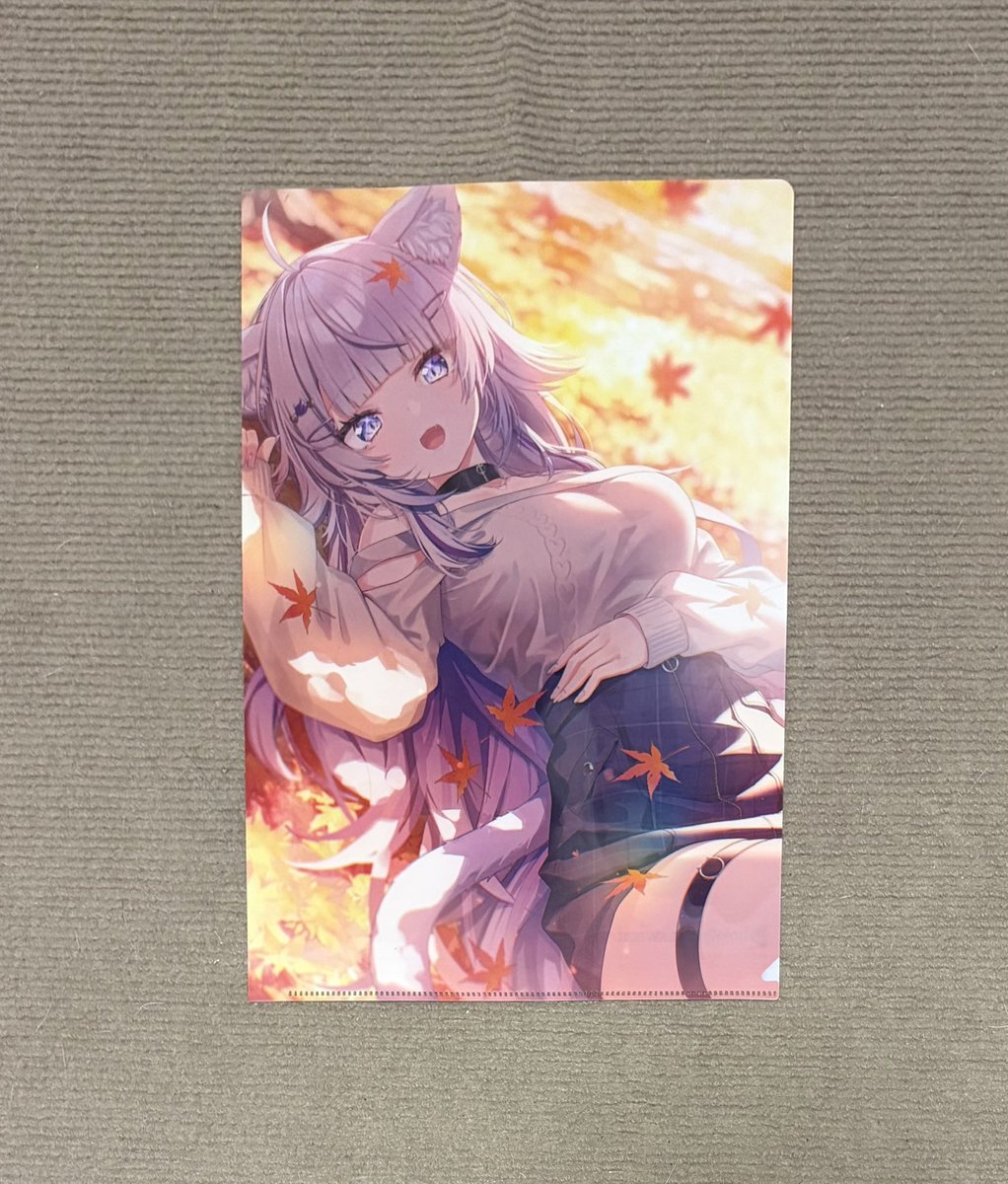 okyn117tiger's tweet photo. やっとついにおかゆんのクリアファイル買えました！嬉しすぎるし可愛い！ https://t.co/615Kn8anF7