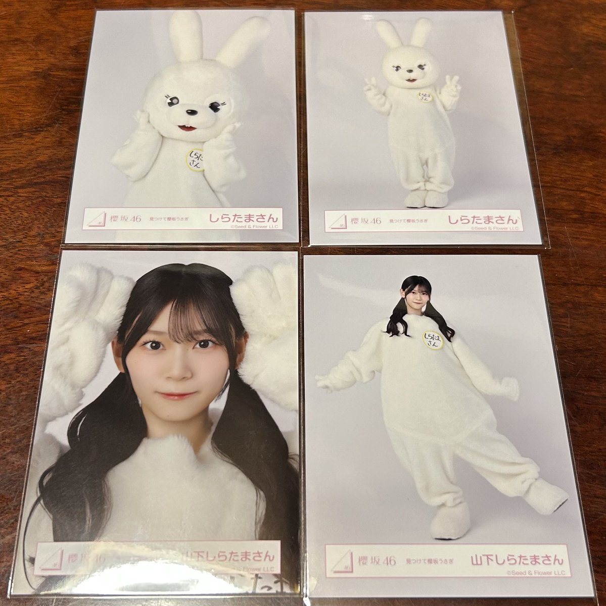 9ma_13ear's tweet photo. 櫻坂46 櫻坂 見つけて櫻坂うさぎ 森田 山下 浅井 まろまろ しらたまさん ぴょんきち トレード トレ 交換

求:
森田まろまろ(寄り、座り、寝)
まろまろ(ヒキ)
集合(組体操)

譲: 画像

📮郵送希望(日付未定でもよければアニラも可) https://t.co/dwjj9eorEn