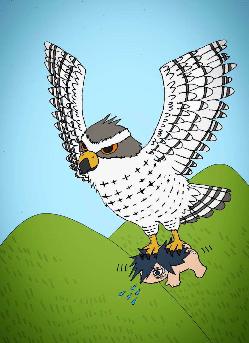 hurousyanau's tweet photo. 鷹に狩られるマ🦅🍖 https://t.co/zn0vrBZemO