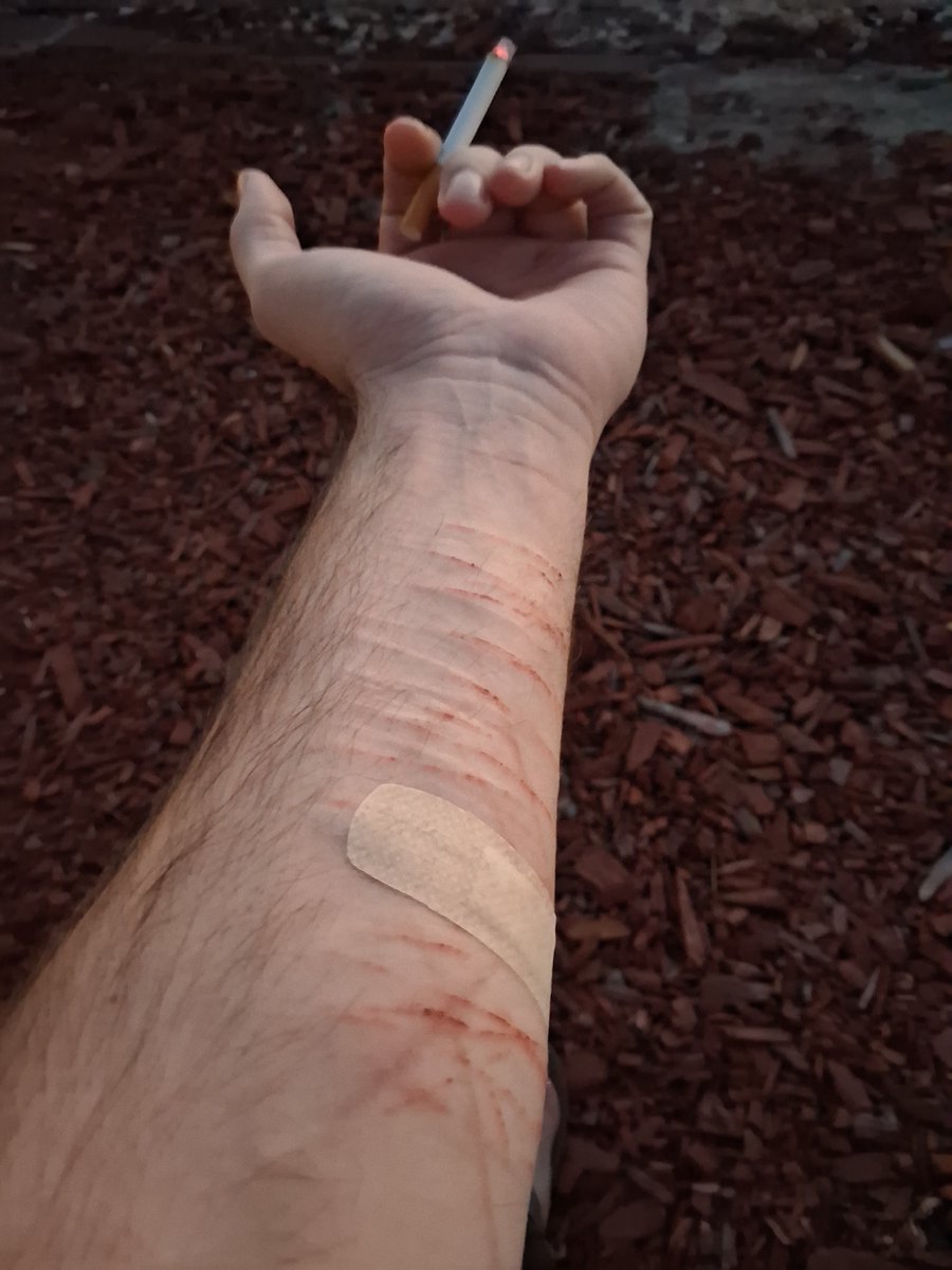 nwordalex2's tweet photo. @shin_veltal cigs are life https://t.co/uHTCw00HEg