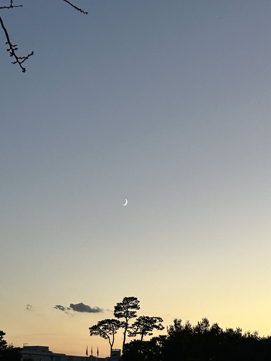mellifluous_09's tweet photo. 초승달 🌙 https://t.co/UYkhacNoBM