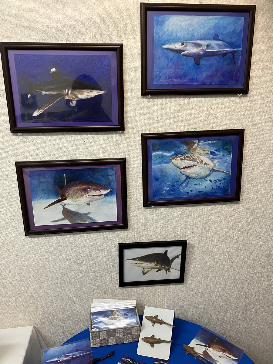 tunaster's tweet photo. 【サメ展THE DEEP 5】本日無事終了致しました。ご来店頂き、有難うございました。明日も12:00-19:00で開催。【作家紹介】ツナ★オザキ。リアルフィギュアを作成しています。通販サイト開設中。https://t.co/wAt7mkhn4M
#ギャラリーharu #サメ展THE DEEP 5 #ツナ★オザキ https://t.co/pLjOSSENkj