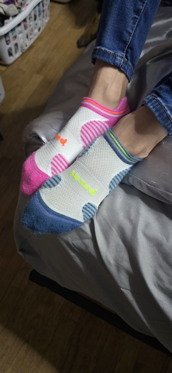 Wantsocks2024's tweet photo. Its something about these mis matched socks. 

#mismatchedsocks #socksforsale #buymysocks #gymsocks #sweatysocks https://t.co/tg6NpA869E