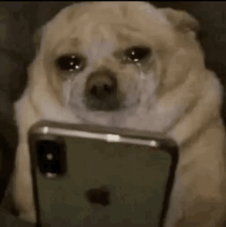 Chroma_tix's tweet photo. Holy shit my internet is back after almost 7 days of it being gone. worst part is that I would still've been stuck if I didnt call them 3 times. AND ON TOP OF THAT MY WATER SYSTEM BROKE THE SAME WEEK MAKING US NOT HAVE WARM WATER. I WAS IN THE FUCKING GULAG BRO NEVER AGAIN https://t.co/m0pGIJFoKS