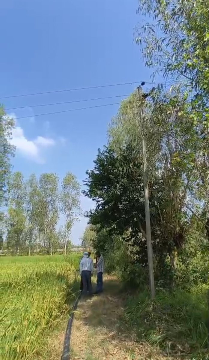 DmAmethi's tweet photo. !!एक दिवस में पूर्ण समाधान अभियान!!

इस अभियान के अन्तर्गत जिलाधिकारी महोदय की जनसुनवाई में जो शिकायतें प्राप्त होती हैं, उसमें सभी शिकायतों में यह प्रयास किया जाता है कि सभी शिकायतों का समयबद्ध और गुणवत्तापूर्ण समाधान सुनिश्चित किया जाए। इसी मंशा के तहत आज दिनांक 14.10.2026 को तहसील गौरीगंज अन्तर्गत ग्राम पूरे गौतम मजरे दुलापुर निवासी परमानन्द अपनी शिकायत लेकर जिलाधिकारी के समक्ष उपस्थित हुए, उन्होंने अपने शिकायती पत्र के माध्यम से अवगत कराया कि उनकी भूमि गाटा संख्या 104 संक्रमणीय भूमिधर है जिस पर उनका कब्जा है उनके खेत के ऊपर से 11000 हाई वोल्टेज लाइन गई हुई है जो की ढीली होने के कारण काफी नीचे झुक गई है जिसके कारण उनको कृषि कार्य करने में काफी परेशानी होती है और जान माल का खतरा बना रहता है। शिकायतकर्ता ने जिलाधिकारी से उक्त हाईवोल्टेज विद्युत लाइन को कसवा कर ऊपर करवाए जाने की मांग की। शिकायत को गंभीरता से लेते हुए जिलाधिकारी ने तत्काल अधीक्षण अभियंता विद्युत को निर्देश दिए कि उक्त प्रकरण में नियमानुसार जांच कर हाईवोल्टेज विद्युत लाइन को ठीक कराएं। जिसके उपरांत अधीक्षण अभियंता विद्युत द्वारा तत्काल अपनी टीम को मौके पर भेज कर ढीली हाईवोल्टेज विद्युत लाइन को कसवा कर ठीक करवा दिया गया। शिकायत का त्वरित समाधान होने के उपरांत शिकायतकर्ता परमानन्द ने जिलाधिकारी महोदय का आभार व्यक्त करते हुए कहा कि उनकी समस्या का त्वरित समाधान होने से उन्हें काफी राहत मिली है और अब उन्हें अपने खेत में कृषि कार्य करने में किसी भी प्रकार की परेशानी का सामना नहीं करना पड़ेगा।