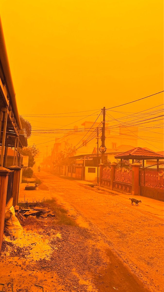 WeatherMonitors's tweet photo. HAPPENING NOW: Unfiltered images show an eerie, intense orange and yellow glow amid Indonesia’s worsening wildfire and haze crisis, with 277,075 respiratory illness cases reported across seven affected provinces as.📍 Kalimantan.

Fires covering approximately 663.61 hectares were being tackled across six provinces, while hazardous smoke pollution spreads across Southeast Asia.

Images received from Rixwan.