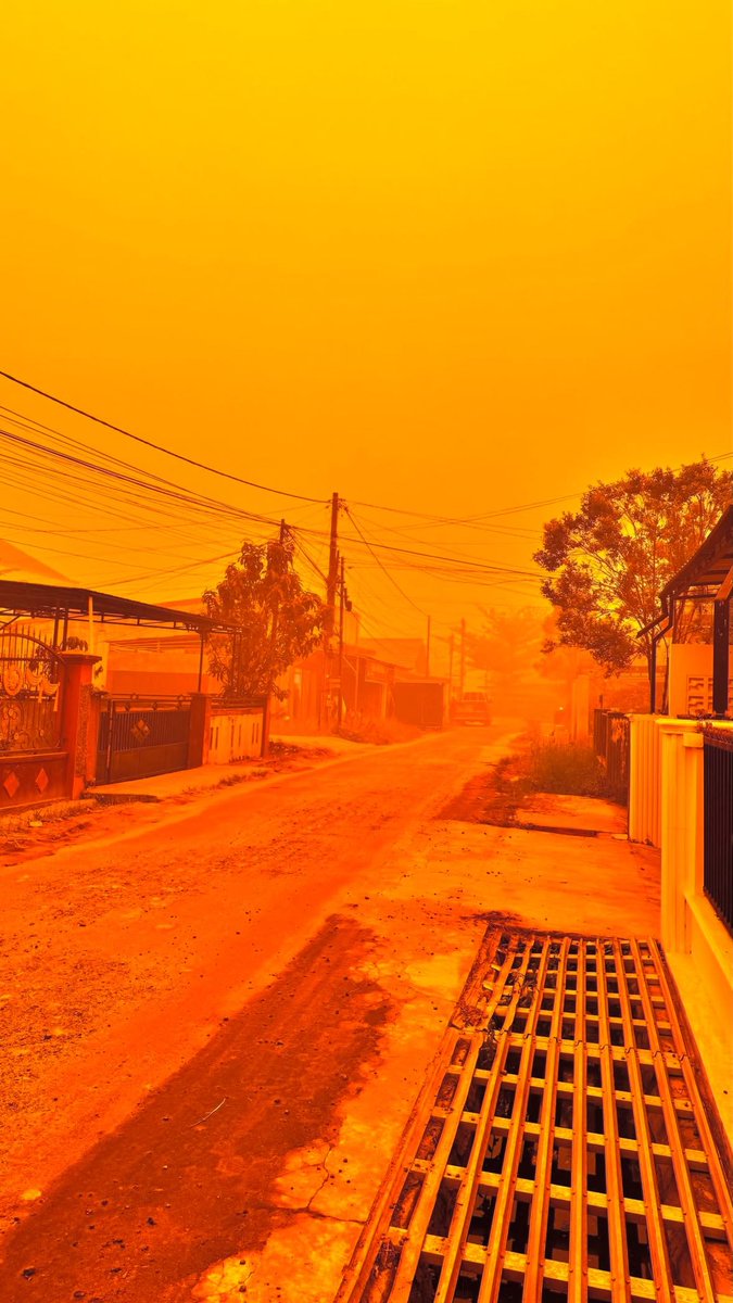 WeatherMonitors's tweet photo. HAPPENING NOW: Unfiltered images show an eerie, intense orange and yellow glow amid Indonesia’s worsening wildfire and haze crisis, with 277,075 respiratory illness cases reported across seven affected provinces as.📍 Kalimantan.

Fires covering approximately 663.61 hectares were being tackled across six provinces, while hazardous smoke pollution spreads across Southeast Asia.

Images received from Rixwan.