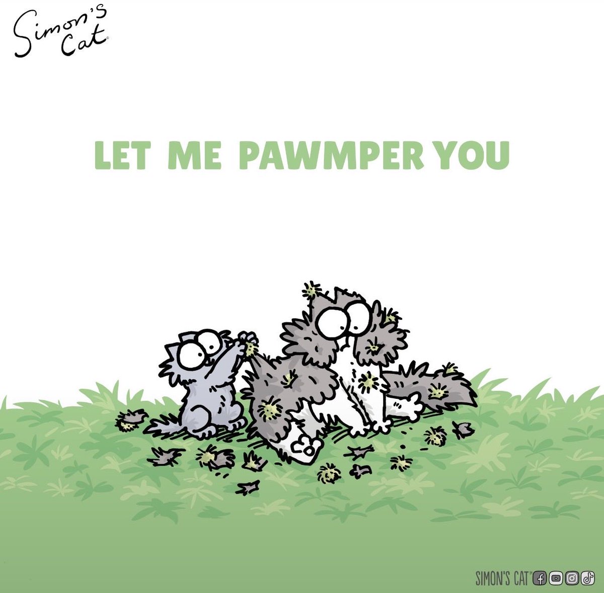 SimonsCatMeme's tweet photo. How I’m treating my homies in $CAT szn 😸 https://t.co/YhF4ZmkhIo