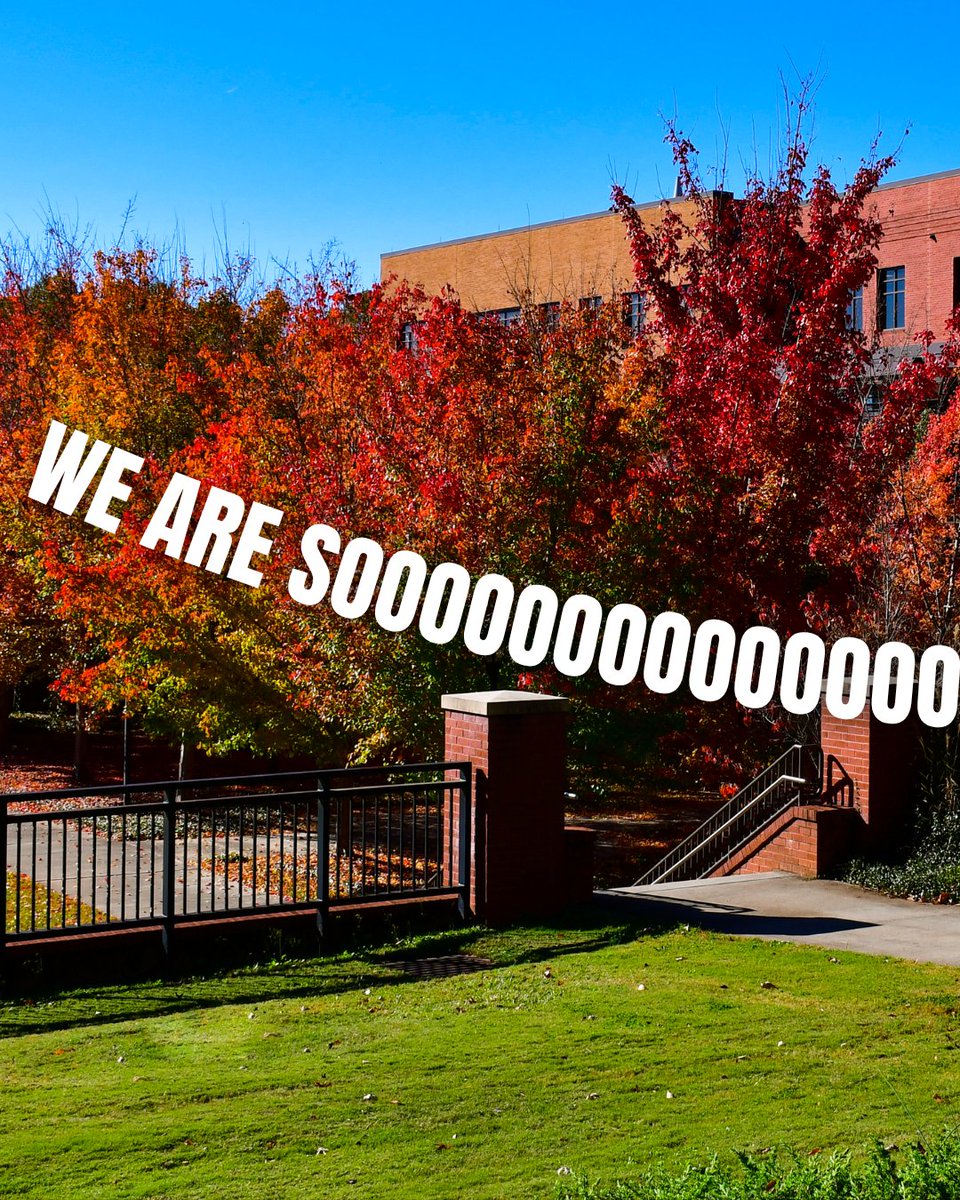 GordonState's tweet photo. Did you miss us, Highlanders? Because we missed YOU! 💙
 
Fall Break is officially over, and we’re so back. Let’s bring the energy, hit those goals, and make the rest of this semester count!
 
#GSCHighlandersForward https://t.co/hwSCQ0ZyJg