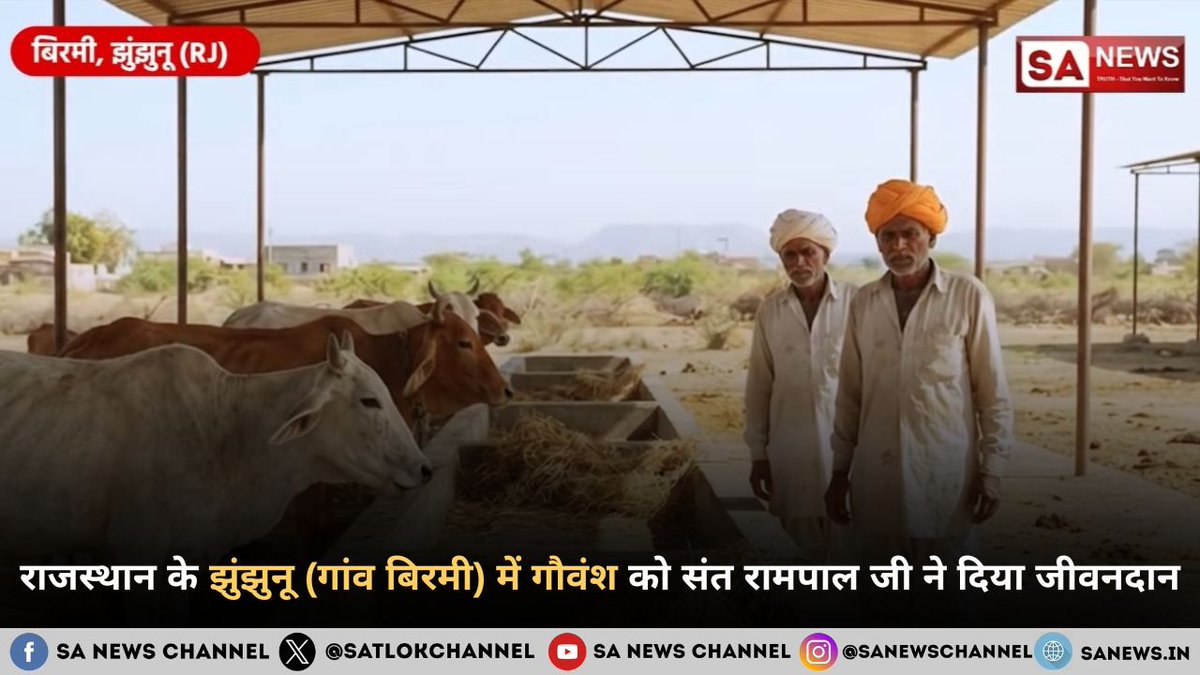 SatlokChannel's tweet photo. राजस्थान के झुंझुनू जिले के गांव बिरमी में गौवंश के लिए भारी चारे का संकट उत्पन्न हो गया था। इस कठिन समय में संत रामपाल जी महाराज ने 300 क्विंटल सूखा चारा भेजकर बेसहारा गायों की रक्षा की। ग्रामवासियों ने इस निस्वार्थ सेवा के लिए उनका भव्य स्वागत किया: https://t.co/2x2Qk5p115  |  Read on Instagram: Link in Bio   

#SantRampalJiMaharaj #Gomata #Rajasthan #Jhunjhunu #AnimalWelfare