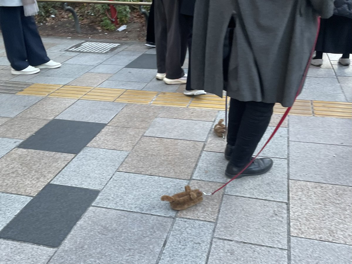poooon______'s tweet photo. じゅのんくん 
私も亀の子たわしのおじさん
東京で遭遇したことあるよ~ 🐢
大阪に住んどるから、東京ってたわしも歩く街か~すごいなあって思って、写真撮った2025冬(笑) https://t.co/2HkhVpiC3w