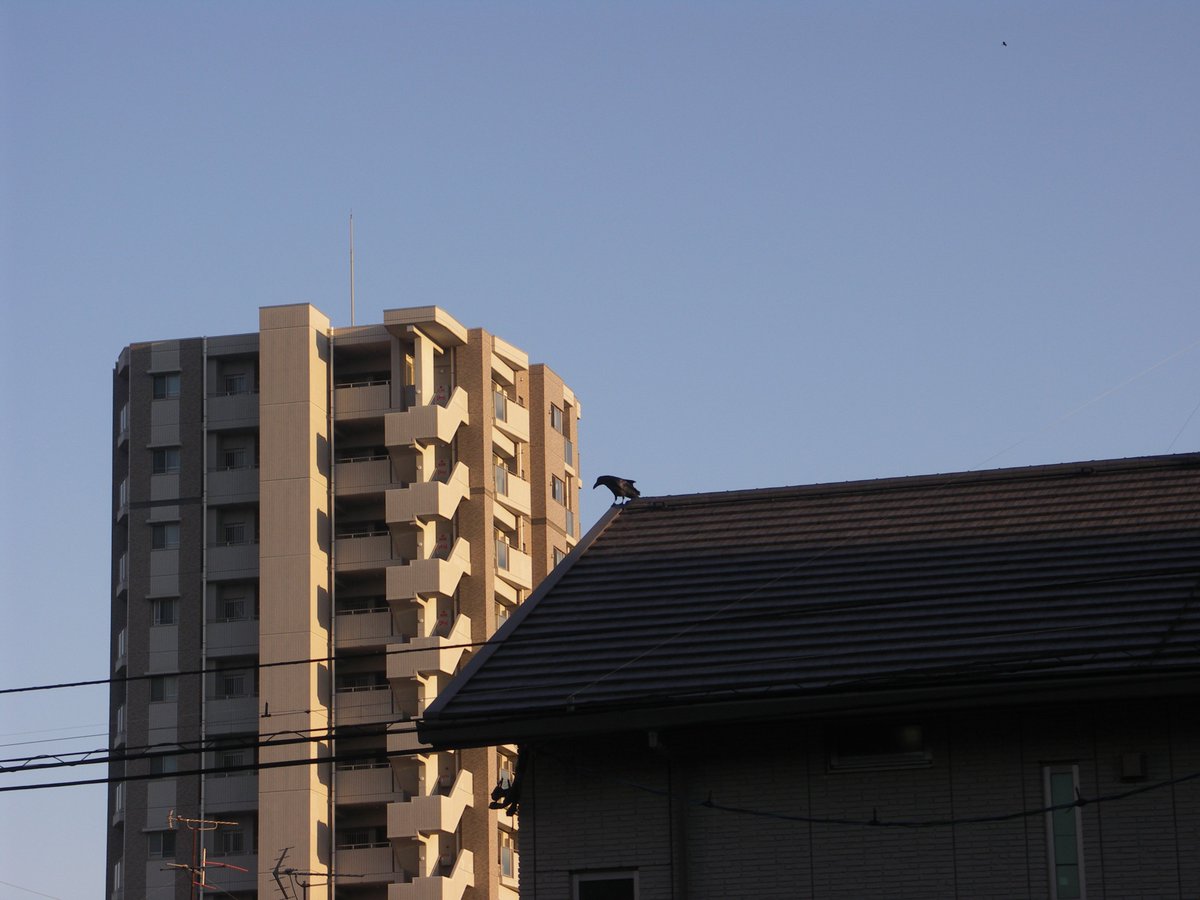 huerumegane's tweet photo. https://t.co/gJpttztRnV