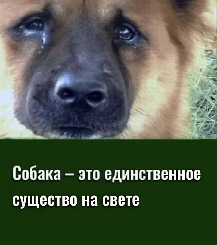 FucoDestackter's tweet photo. Омайгааад, меня впервые добавили в список и мне написали https://t.co/UIUzj47GYM
