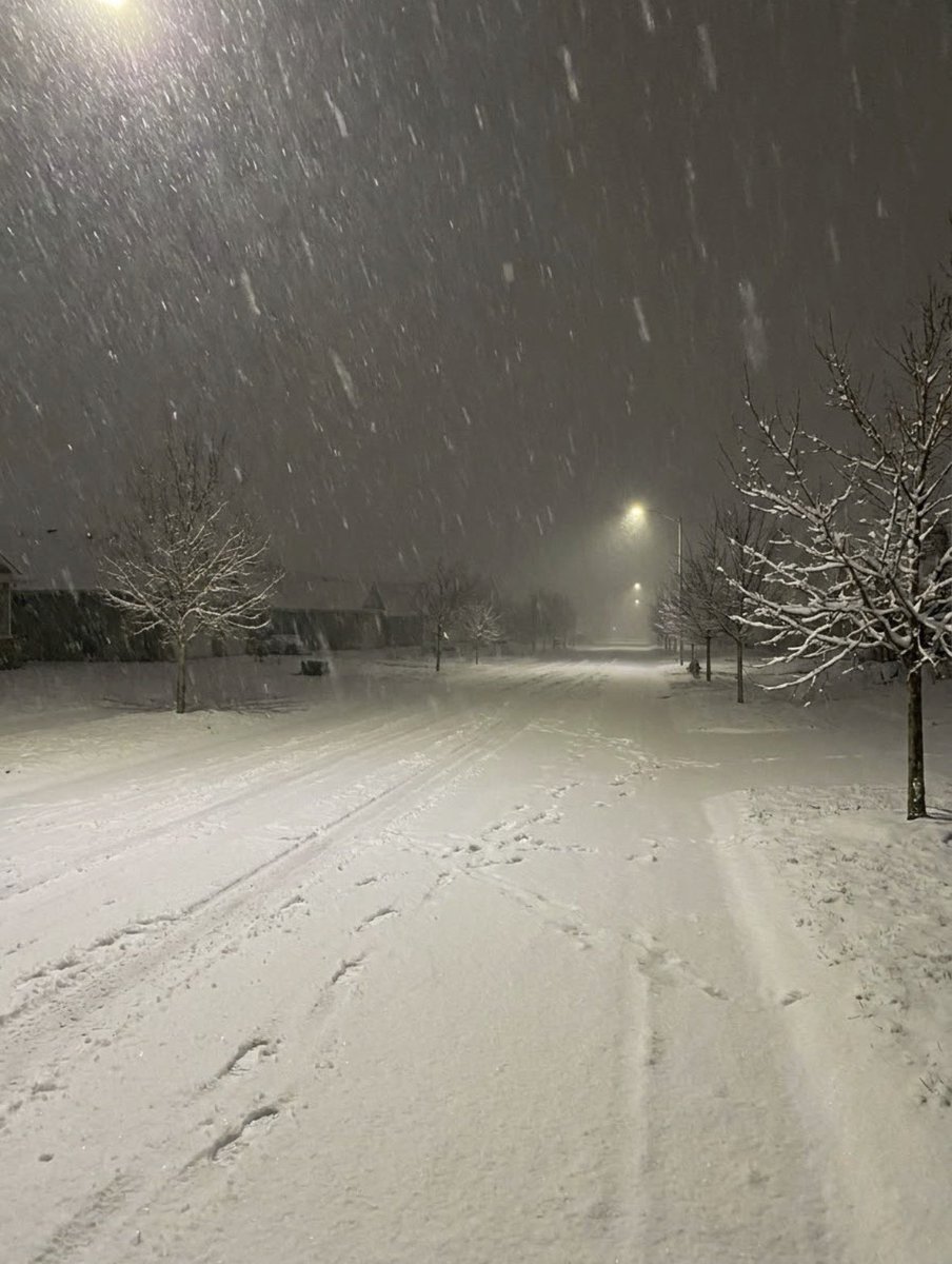 earthcurated's tweet photo. Winter has a beauty all of its own ❄️ https://t.co/s580EhJqCB