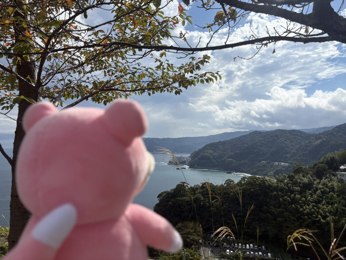 ahirulife's tweet photo. 熱海視察に来たヤドン知事やぁ〜ん https://t.co/135VlUd4vl