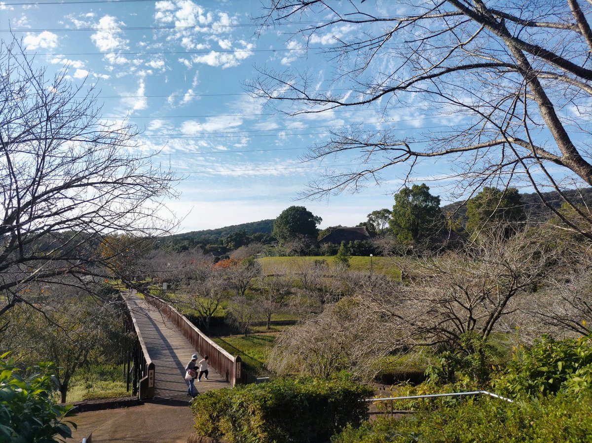 Ayoo_Cosbey's tweet photo. マグネシウム入りのボディクリーム、良いかも…（運転でやられた太ももの筋肉痛に） https://t.co/5EBMkuuZt7