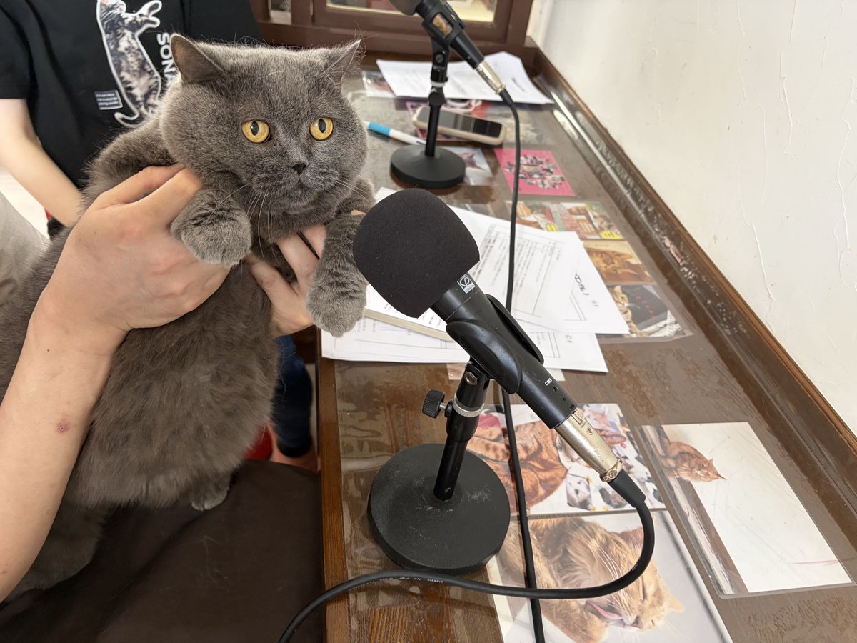 enkare_radio's tweet photo. 🎶第25回 #エンカレ 🎶

いかがでしたか？

今週はAdagioさんを取材し、
猫カフェを始めたきっかけや
店名に込められた思い、
ペットシッター事業について伺いました🐈

来週は、Adagioさんで行っている
猫カフェ教室についてフカボリします！

アーカイブはこちら👇
https://t.co/DG7eUGPHyv https://t.co/GUgTGGsRYU