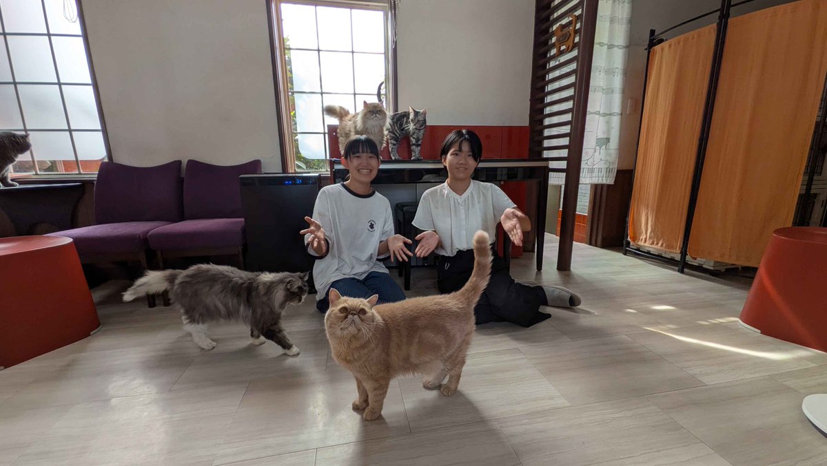 enkare_radio's tweet photo. 🎶第25回 #エンカレ 🎶

いかがでしたか？

今週はAdagioさんを取材し、
猫カフェを始めたきっかけや
店名に込められた思い、
ペットシッター事業について伺いました🐈

来週は、Adagioさんで行っている
猫カフェ教室についてフカボリします！

アーカイブはこちら👇
https://t.co/DG7eUGPHyv https://t.co/GUgTGGsRYU