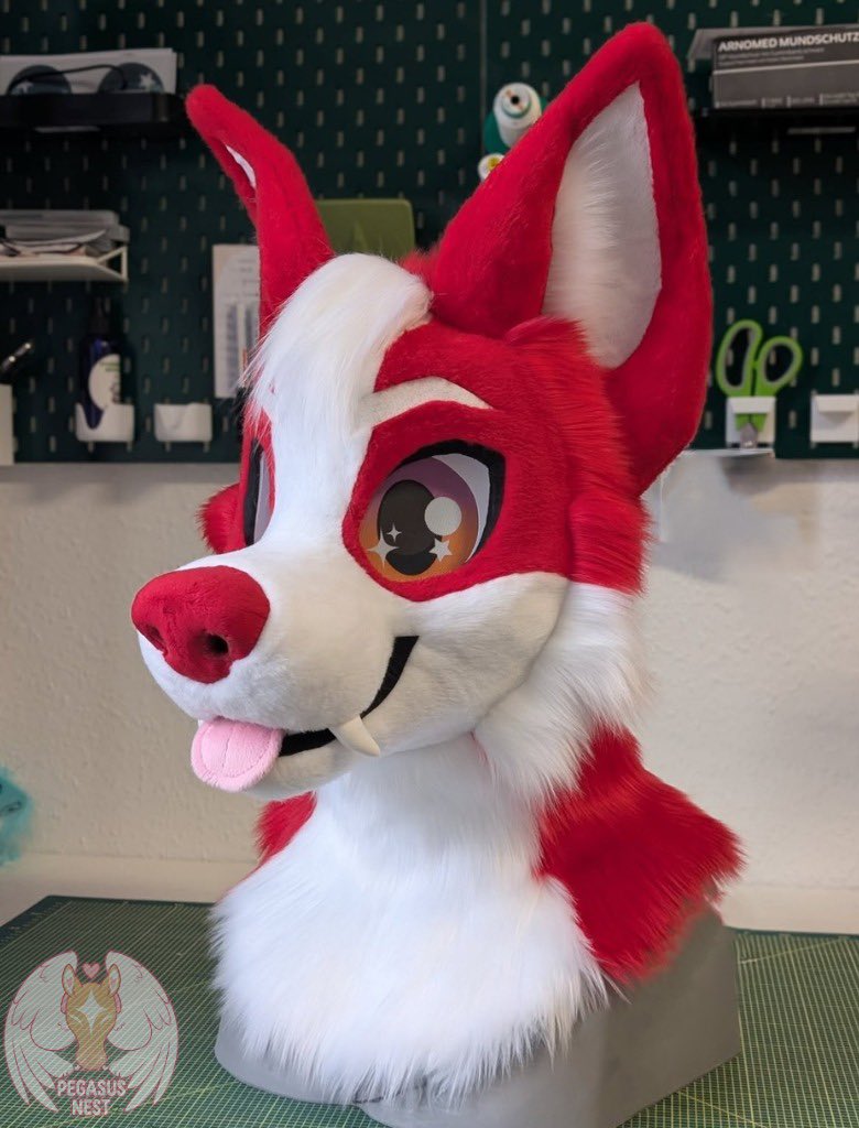 pegasusneszipf's tweet photo. COMMISSIONS OPEN! ✨🐈‍⬛

Another Suit is done!! He was an emergency commission and finished in under 1 months 🦗

He comes with magnetic eyelids 2 tongues zipper paws and tail Stay tuned for more pics of this red and white guy!

#furry #fursuit #fursona #fursuitmaker #furryfandom https://t.co/6bSmt1QK8p