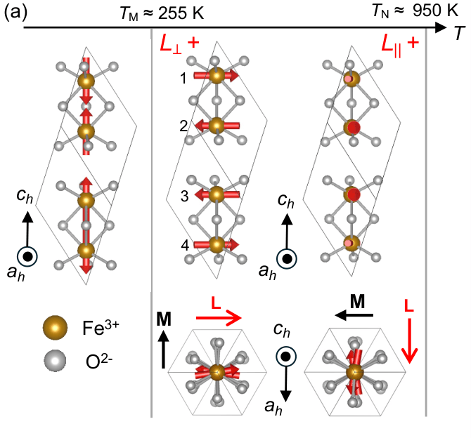 PhysRevX's tweet photo. What’s hidden inside hematite? Applying an electric field breaks its inversion symmetry, unmasking multipolar order that’s normally hidden. New research traces this to a magnetic toroidal octupole and quadrupole. 

Read the paper: https://t.co/WvvQrXWLCz https://t.co/aQ6Q9i6gOs