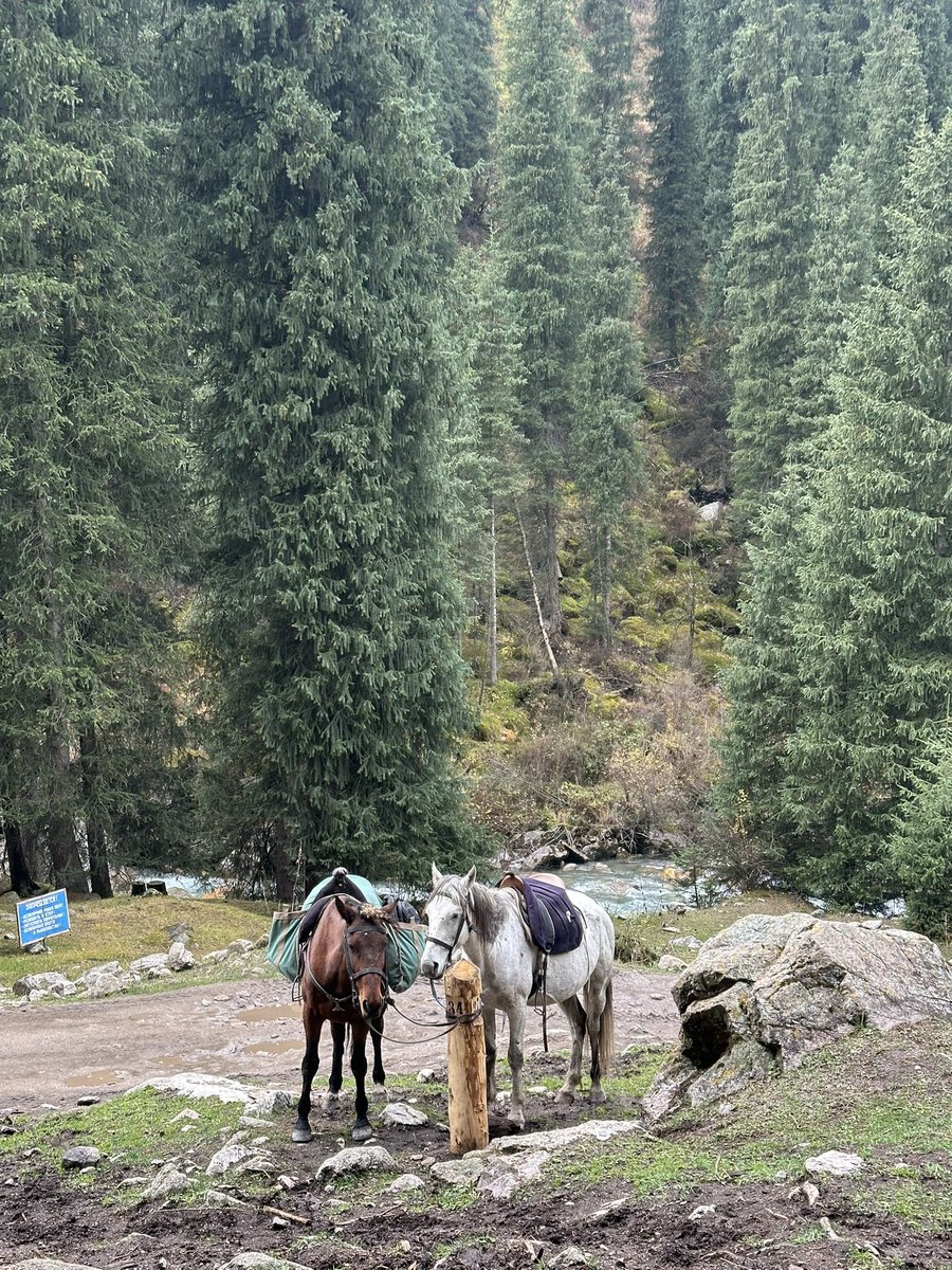 djainious's tweet photo. off the grid in kyrgyzstan https://t.co/MZgCLg2CT8