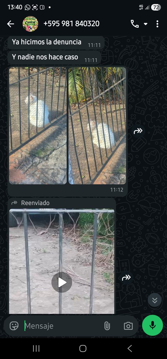 edithortizg's tweet photo. Compartan 🙏  para que @defensanimalpy  haga su trabajo. 
Según vecinos en la casa habita un adicto, y hace 15 días, por cierta hora se escucha a un perro llorar desesperado, no se le vé, por tanto no saben que le hace.

La policia tampoco acude al llamado de vecinos y Rubin no lee la web, no atiende llamadas, ni responde mensajes.