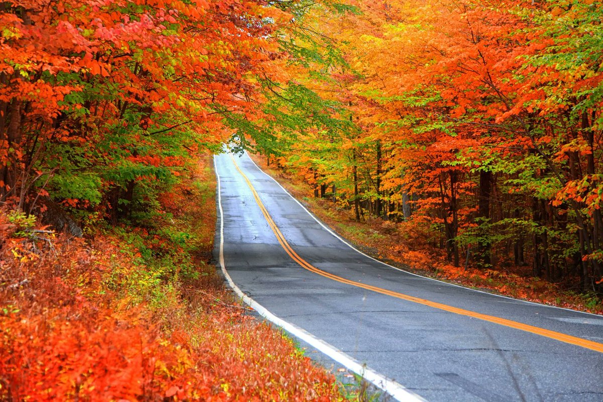 AutoTireIndy's tweet photo. A beautiful fall drive starts with being able to see it. 🍂

If your wipers leave streaks or your headlights seem dim, bring your vehicle to AutoTire. We’ll help you get ready for rainy commutes and evening drives.

https://t.co/Yr5nP16TvJ

#AutoTire #FallDriving #CarMaintenance https://t.co/1Nylca8eyF