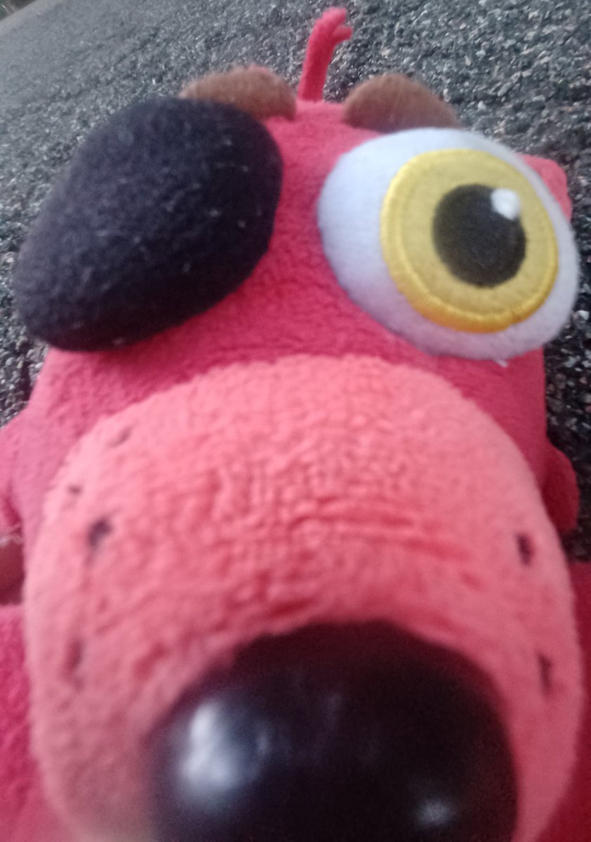 AlexCat5000's tweet photo. ACCOUNT REBRAND!!!!

Now a parody acc about my fnaf plushes from stupid fnaf plush friks the series

(If theres anything questionable leftover on this acc, ill clean it up when i feel like it) https://t.co/JhpQFzV0bT