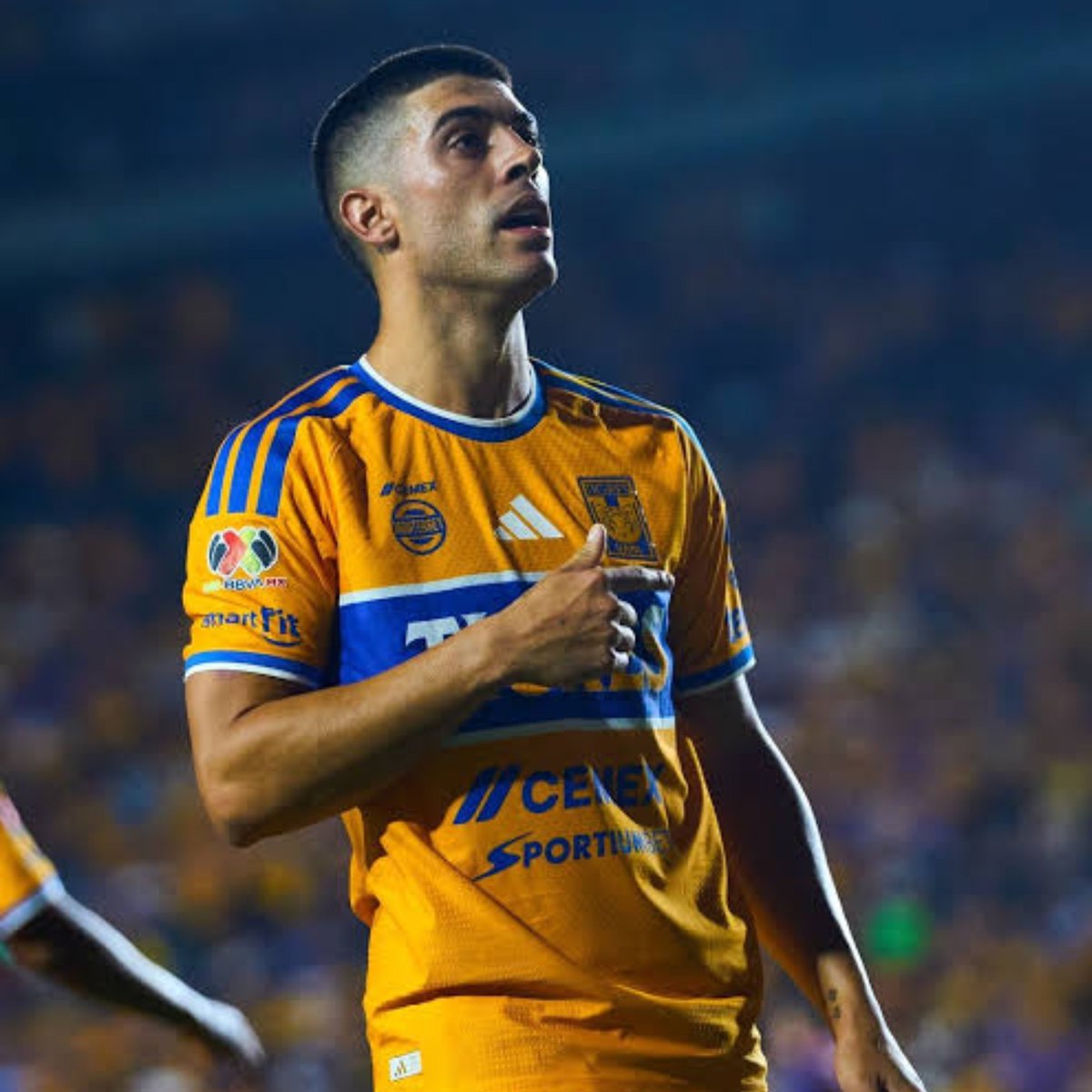 Hugol343's tweet photo. 🐯 Tigres ya trabaja en la renovación de Juan Brunetta. 

💰Las cosas van avanzandas. Tanto Brunetta quiere quedarse como Tigres quiere contar con Brunetta 

[@Pellomaldonado] https://t.co/icuwy4lDth