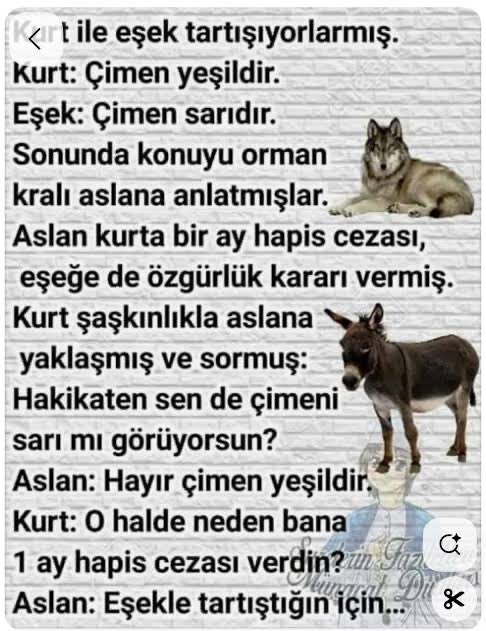AliDemir_72's tweet photo. @Semamarasli Sema hocam umarım mevzuyu anladınız. Bazen haklı olmak yetmez, kiminle tartıştığını bilmek de hikmettir. Çünkü bazı tartışmalarda kazandığın tek şey, karşındakinin seviyesine inmiş olmaktır. Lütfen bu gibilerin seviyesine inerek vaktinizi heba etmeyiniz. https://t.co/u7lNBqYWld