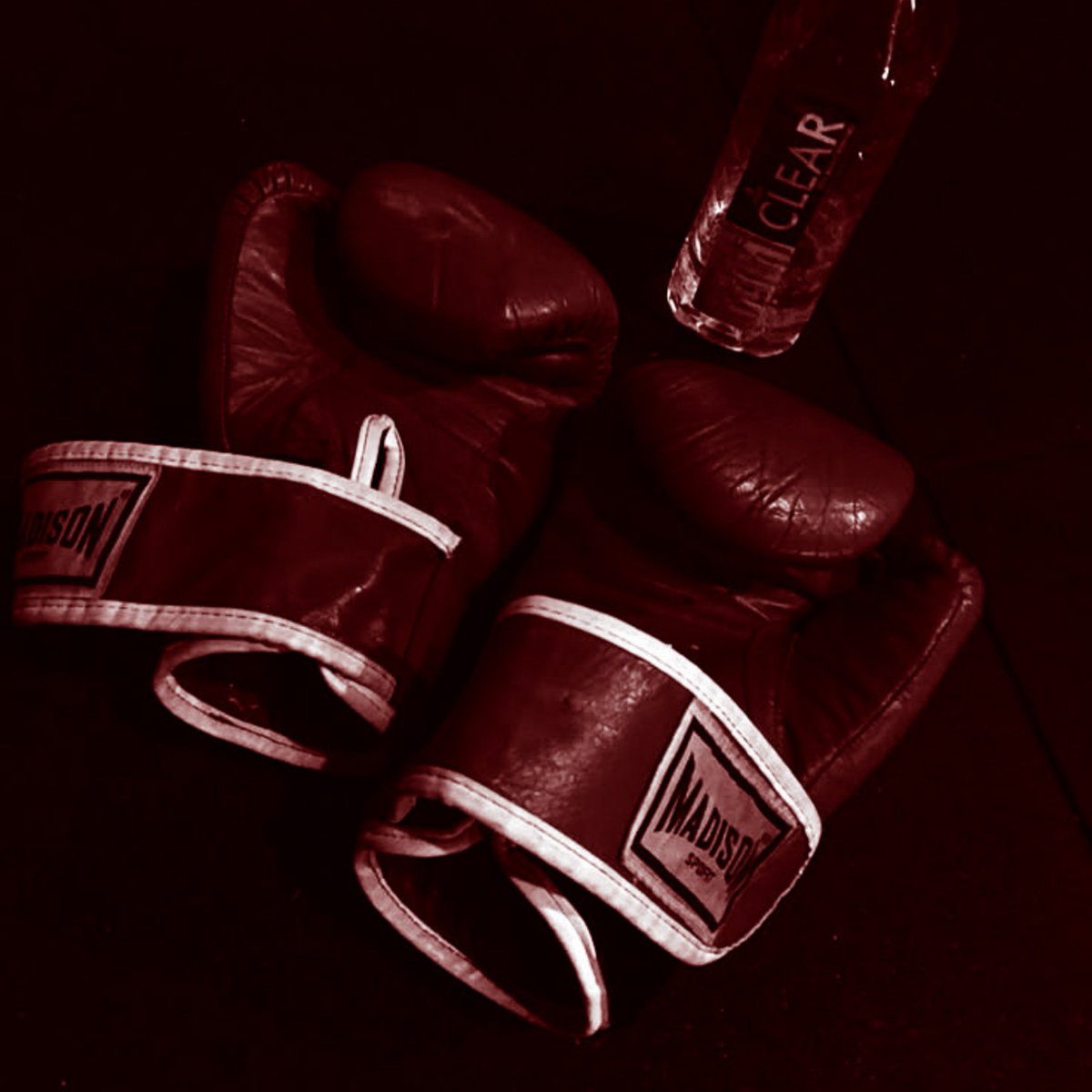 N109Z0N's tweet photo. ㅤ
ㅤㅤㅤ𝗿𝗮𝗱𝗶𝗮𝗻𝘁 𝖇𝖗𝖎𝖑𝖑𝖎𝖆𝖓𝖙
ㅤㅤㅤㅤㅤㅤ🥊
ㅤ https://t.co/EbbyabRT5V