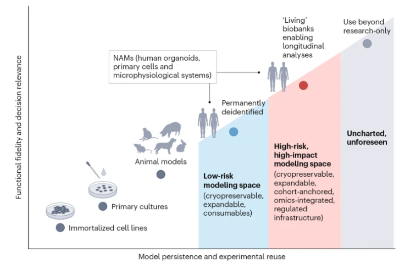 naturemethods's tweet photo. Stewardship of organoids:

https://t.co/TaHo6dSmZ1 https://t.co/z8OdhdLgMF