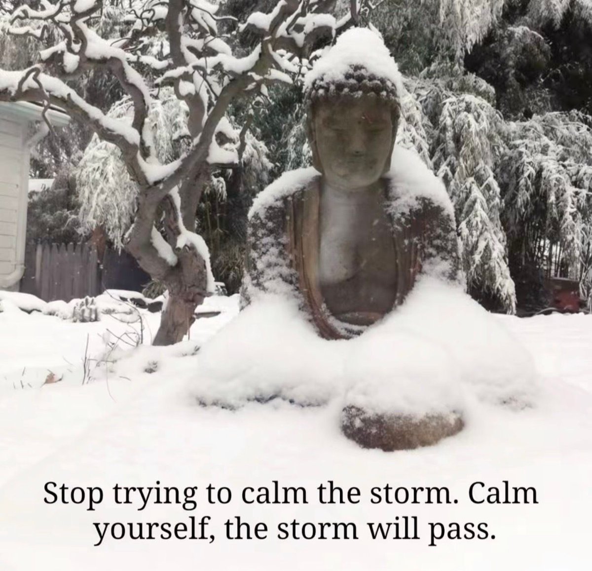 dailyhopecores's tweet photo. https://t.co/1hmfwhCy2V