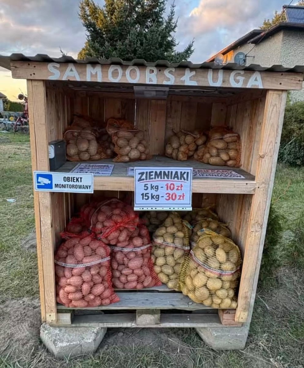 DudekPL4's tweet photo. Jeśli ktoś jest z okolic Rybnika może kupić ziemniaki prosto od rolnika.

Rybnik Chwałęcice przy ulicy B. Czecha 80 naprzeciwko sklepu żabka. https://t.co/0UW1AVdBIM