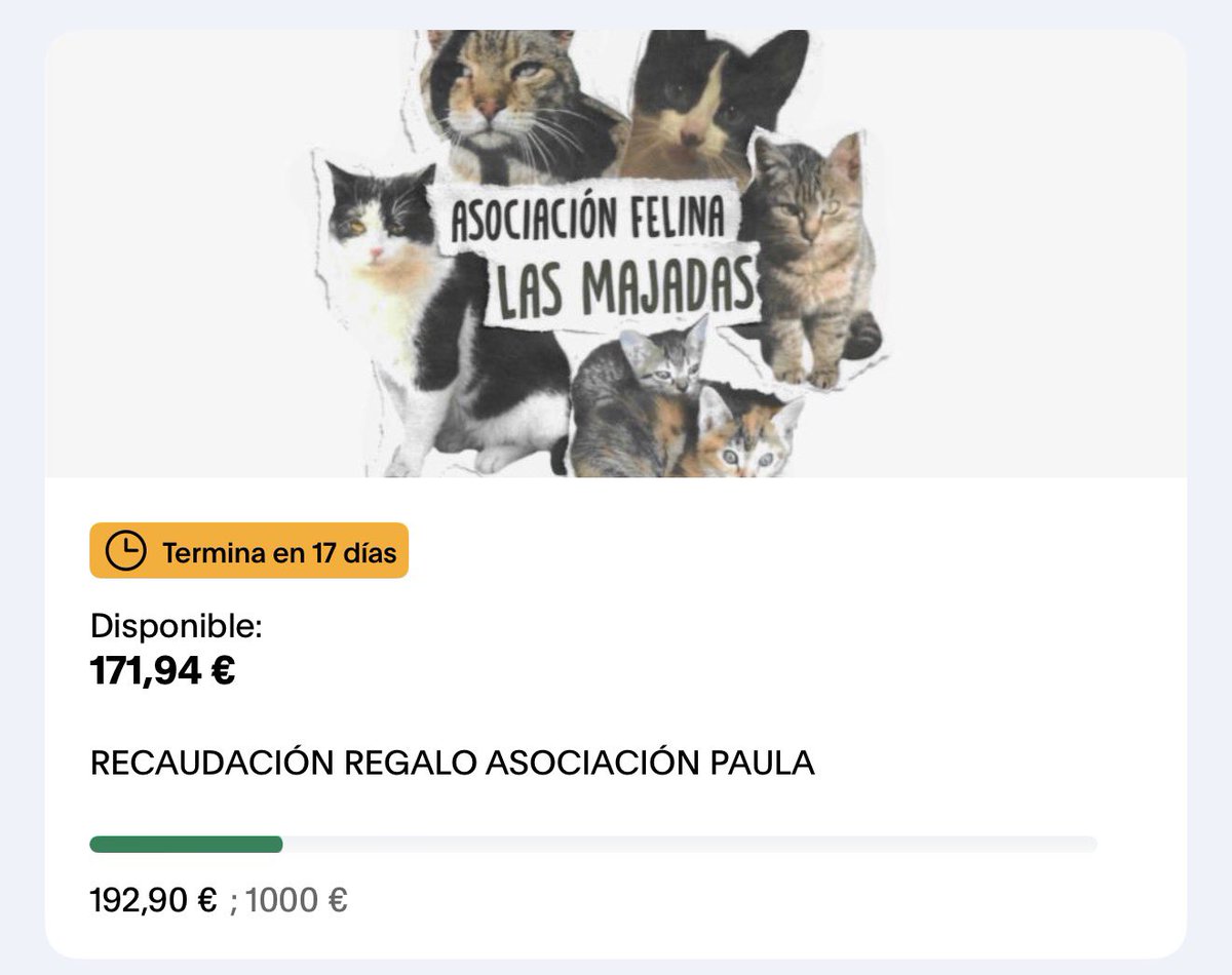 luimetizada's tweet photo. vamos chicas!! si podéis aportar ni que sea 1€ para los gatitos… todo suma porfa🥺🙏🏽

 https://t.co/6WOgCQH2ui https://t.co/KTdWwF663j