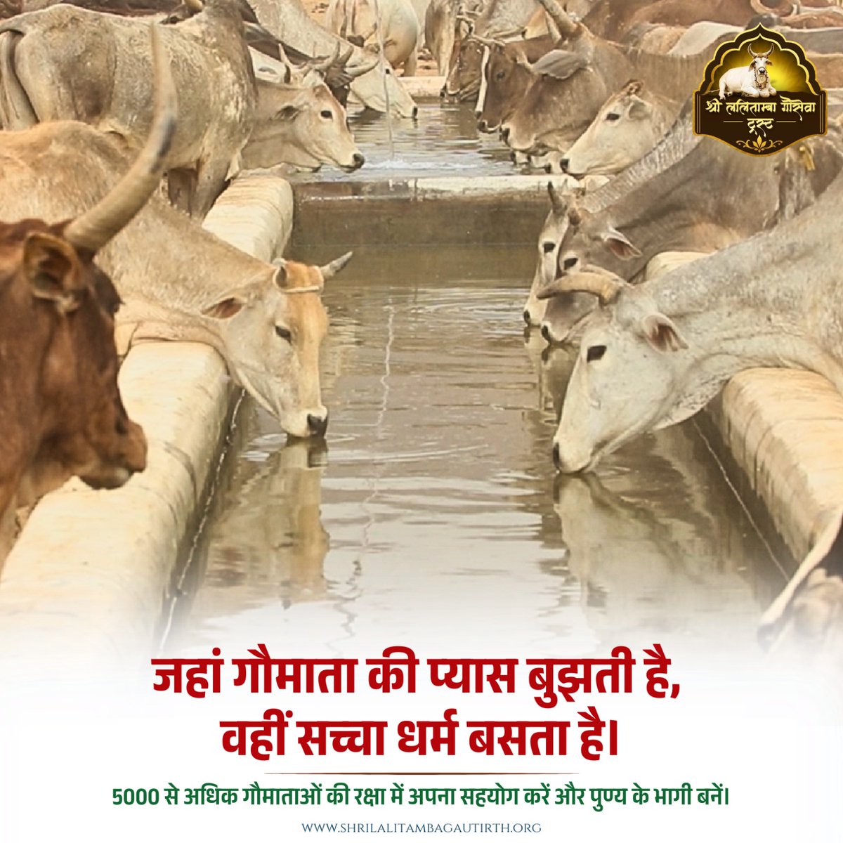 SLGautirth's tweet photo. 🐄🙏 गौमाता की प्यास बुझाना भी सच्ची गौसेवा है। 💧❤️
श्री ललिताम्बा गौ सेवा ट्रस्ट में 5000+ गौमाताओं ��ी सेवा और संरक्षण में सहयोग करें। आपका छोटा-सा दान जलसेवा को आगे बढ़ा सकता है। 🙏
👉 Donate: https://t.co/Hl5pIXWX1x
#GauSeva #CowSeva #HelpCows #DonateForCause https://t.co/zXpuL8LGEa
