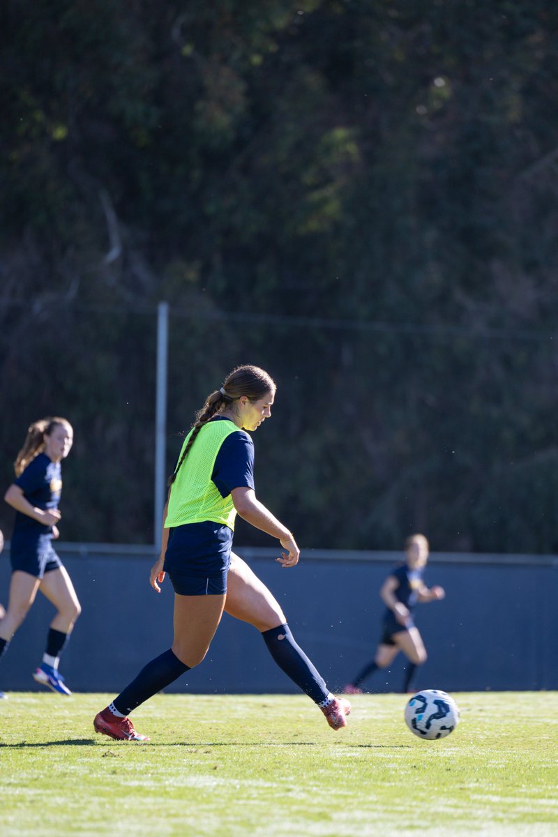 CalWSoc's tweet photo. 𝗘𝗬𝗘𝗦 𝗢𝗡 𝗧𝗛𝗘 𝗡𝗘𝗫𝗧 𝗢𝗡𝗘 👀🐻

#GoBears https://t.co/h1P9BzJlRe