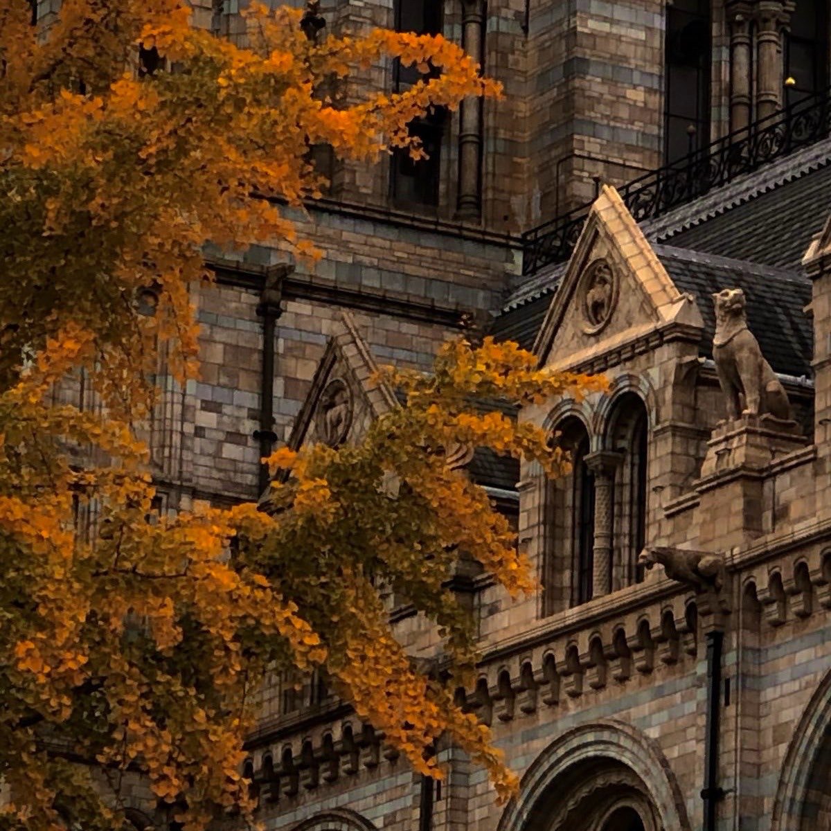 voguante's tweet photo. welcome back to fall 🍂 https://t.co/OySTK8UOPK