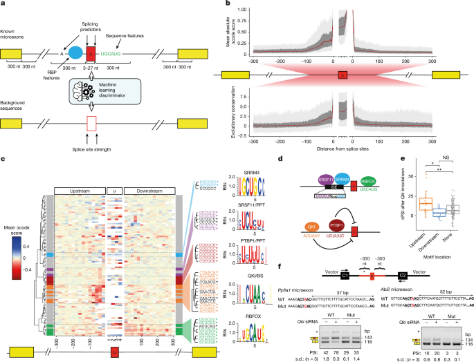 LabWaggoner's tweet photo. A microexon regulatory code reveals autism-linked genetic variation
https://t.co/LGOpWUPF5X
@Nature @Blencowe_Lab @UofT @quaidmorris @hannes_brt @ge_parada https://t.co/j40IxXbBU6