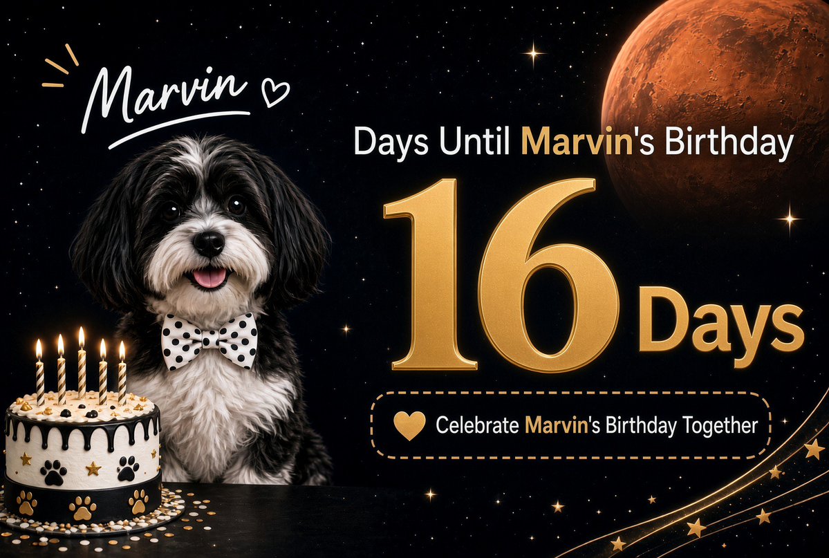 Marvin_BSC_BN's tweet photo. 🎂 November 1st — Marvin’s Birthday

On Nov 1, 2023, @elonmusk posted:
“Today is also Marvin’s birthday 🎂”

Small dog. Big dream.
Let’s celebrate together.

CA: 0xc6bff31bbfa84d3c05ad61d8ec47be8b31517777
#Marvin #HappyBirthdayMarvin
To Mars Together 🐾🚀 https://t.co/OiTiU36gXO