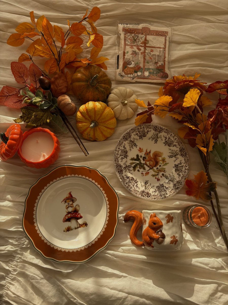 turkiishdelight's tweet photo. sonbahar alışverişi 🐿️🍁🧡🍂🕯️🎃 https://t.co/XphTGTCK7T