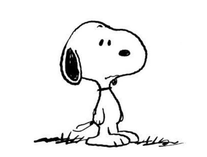 omicidiw's tweet photo. got that dog in me 
the dog: https://t.co/ZXF3mPNr8f